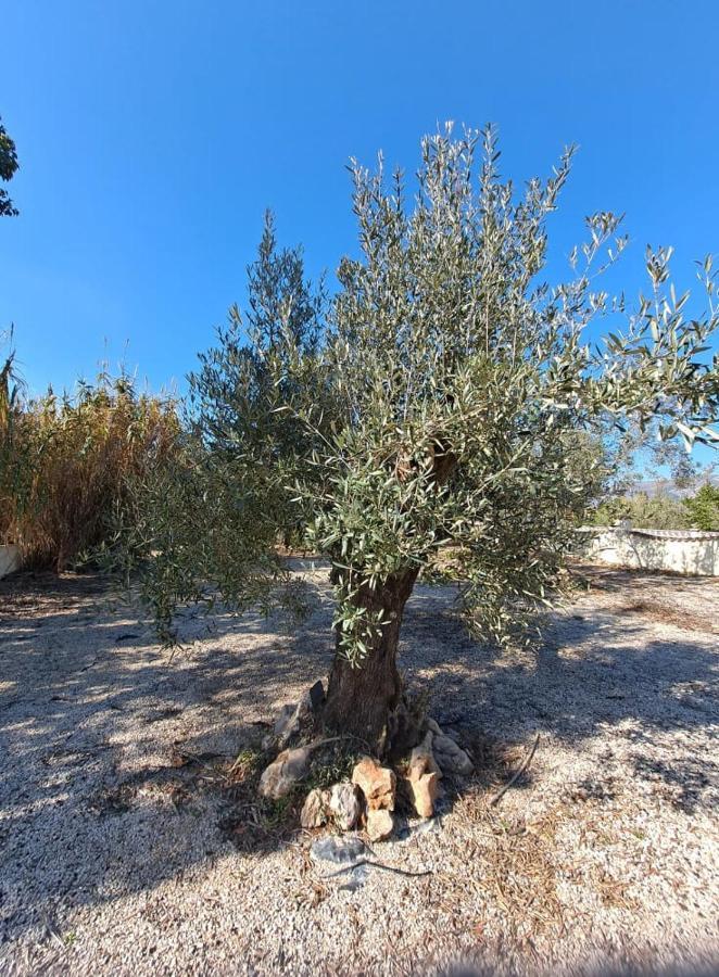 Sueno Grande Ξενοδοχείο Lliber Εξωτερικό φωτογραφία